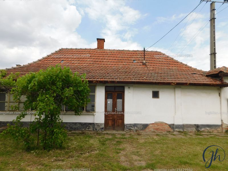 Ingatlan kép