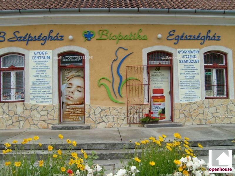 Kép az ingatlanról