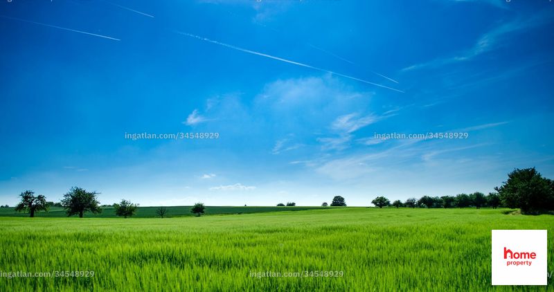 Foto auflisten