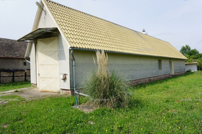 Kép az ingatlanról