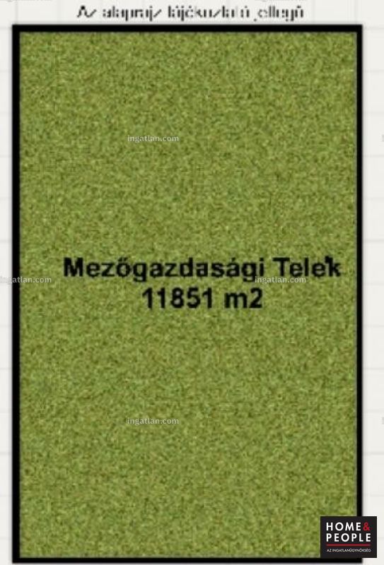 Foto auflisten