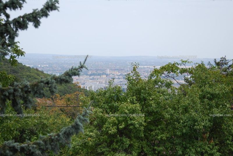 Hirdetés fotója