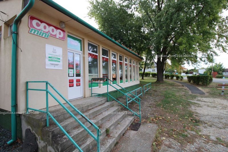 Foto auflisten
