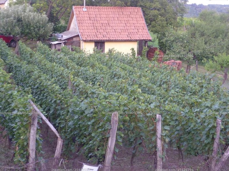 Kép az ingatlanról