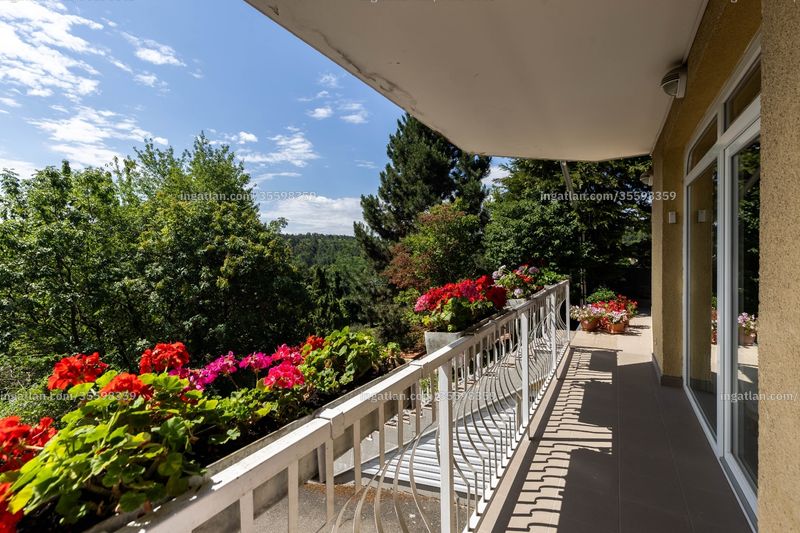 terrace