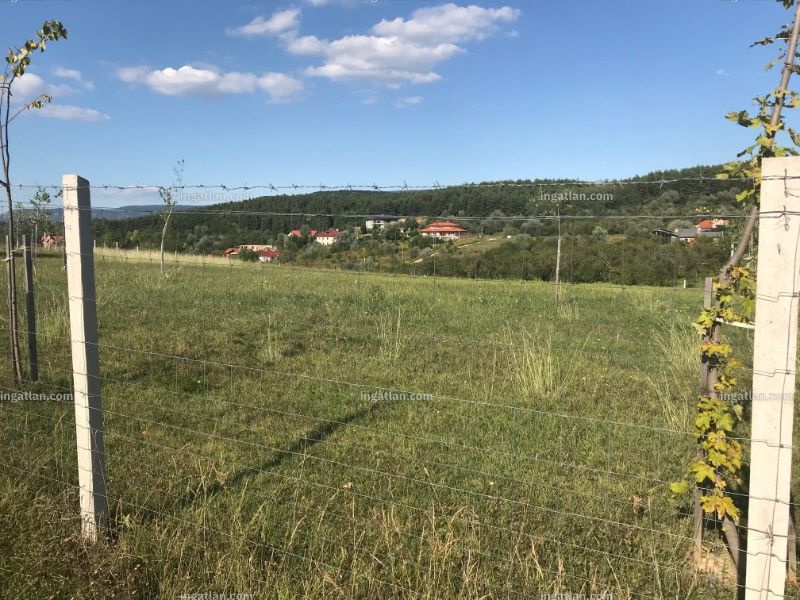 Foto auflisten