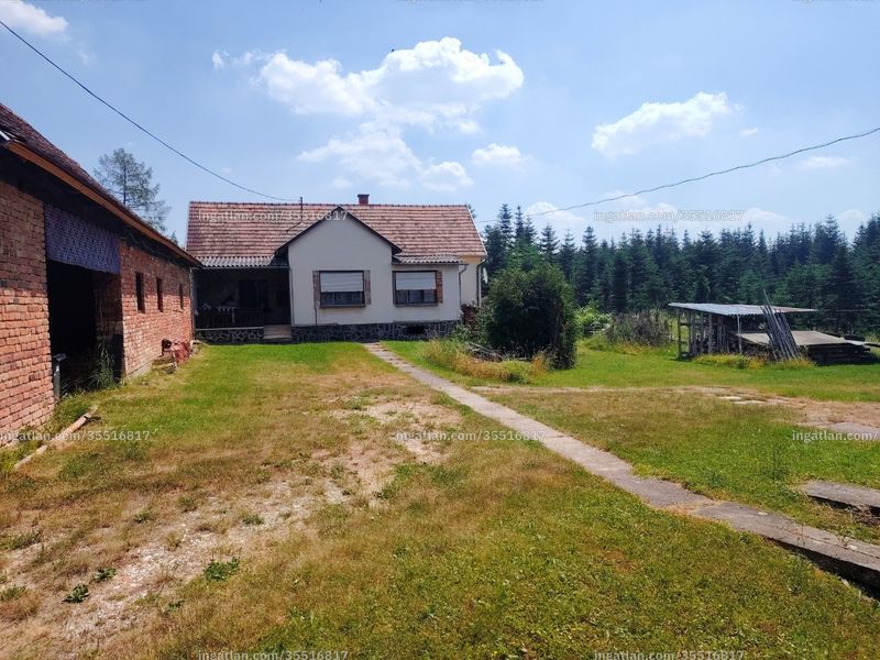 Ingatlan kép