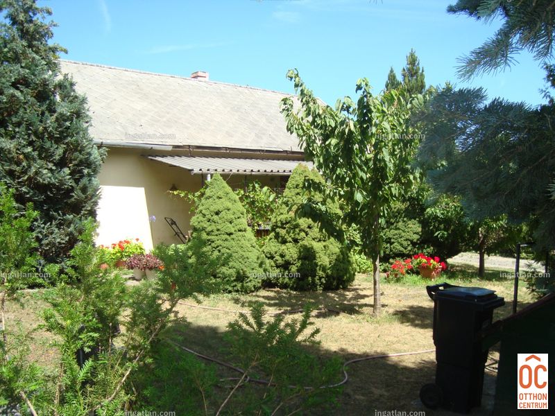 kilátás