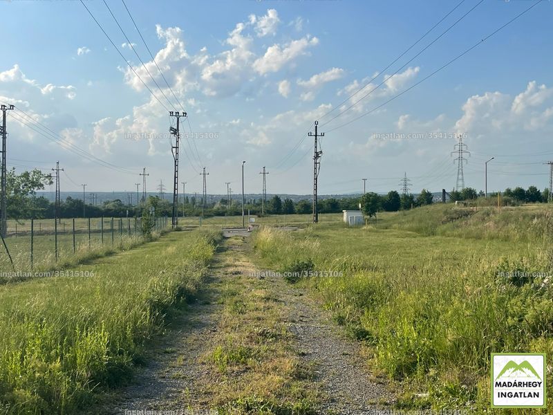 Foto auflisten