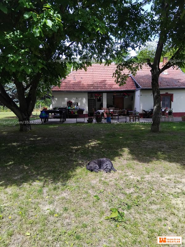 Foto auflisten