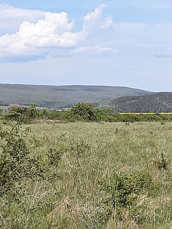 kilátás