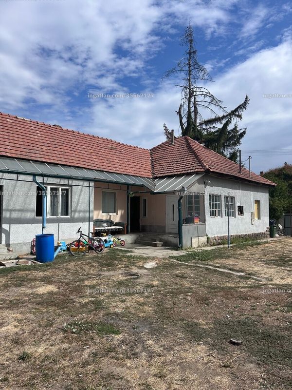 Ingatlan kép