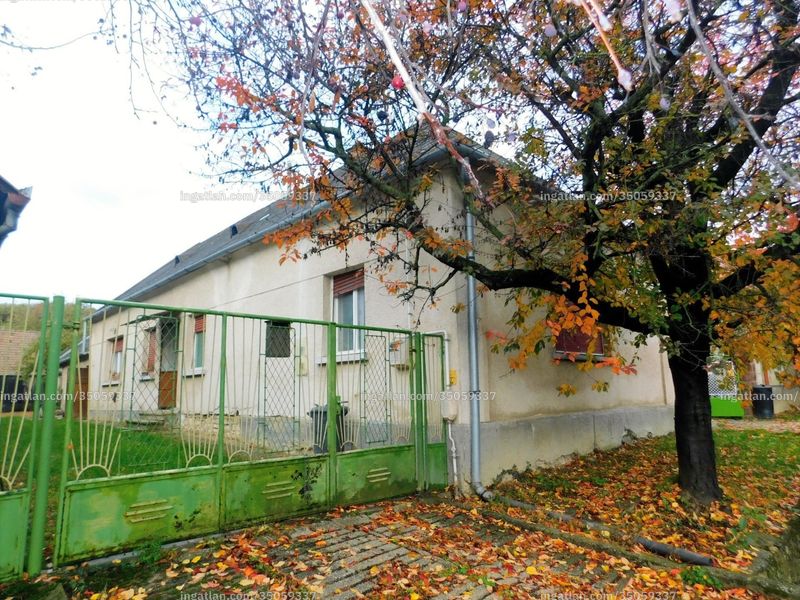 Foto auflisten
