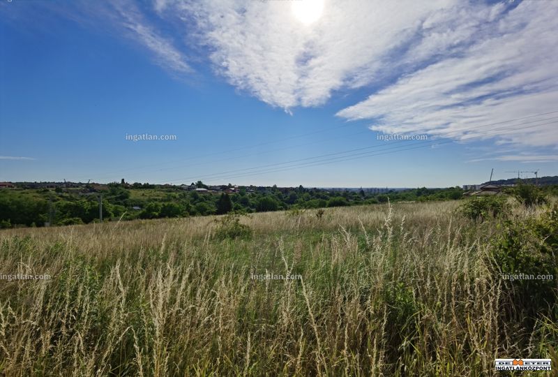 Foto auflisten