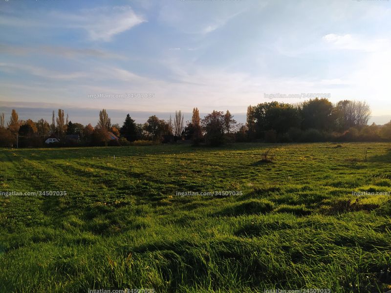 Foto auflisten