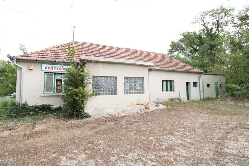 Ingatlan kép