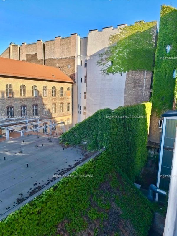 kilátás