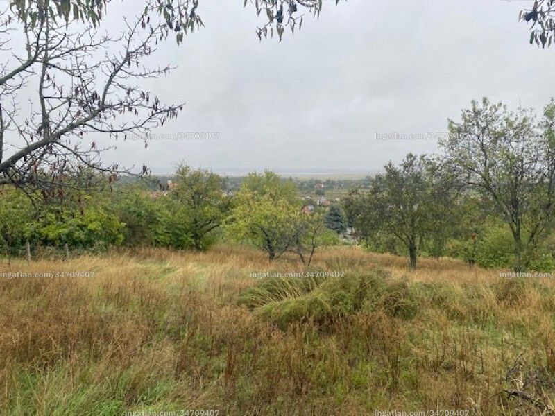 Bild über die Immobilie