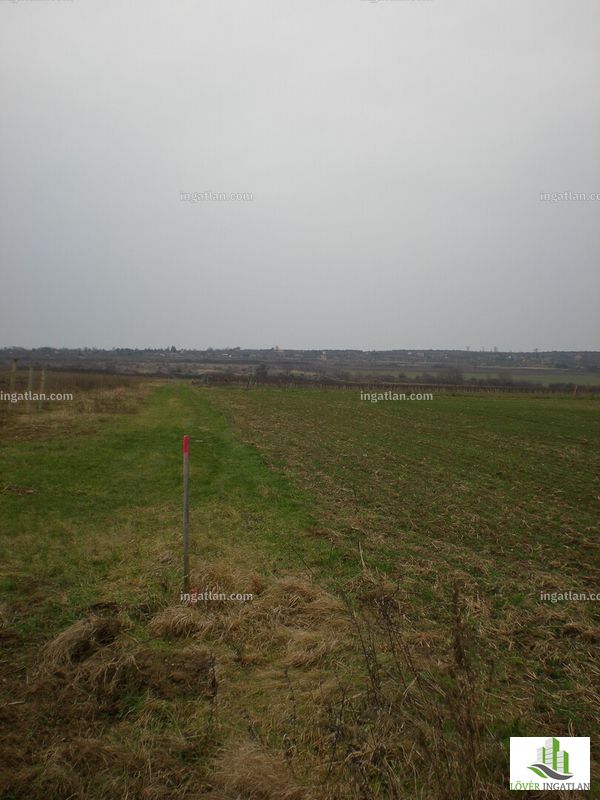 Foto auflisten