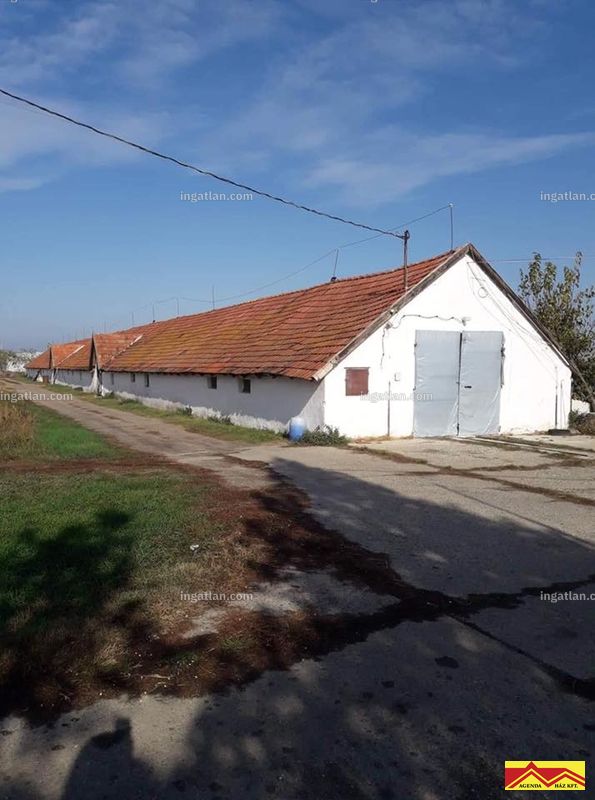 Kép az ingatlanról