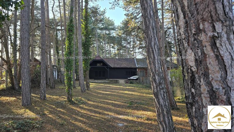 Foto auflisten