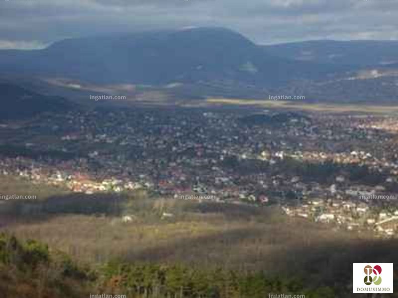 Bild über die Immobilie