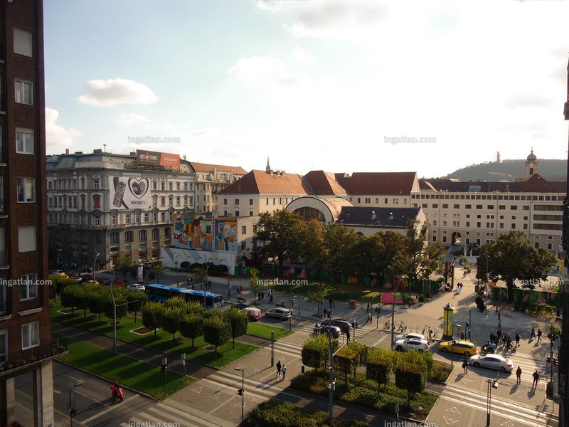 kilátás
