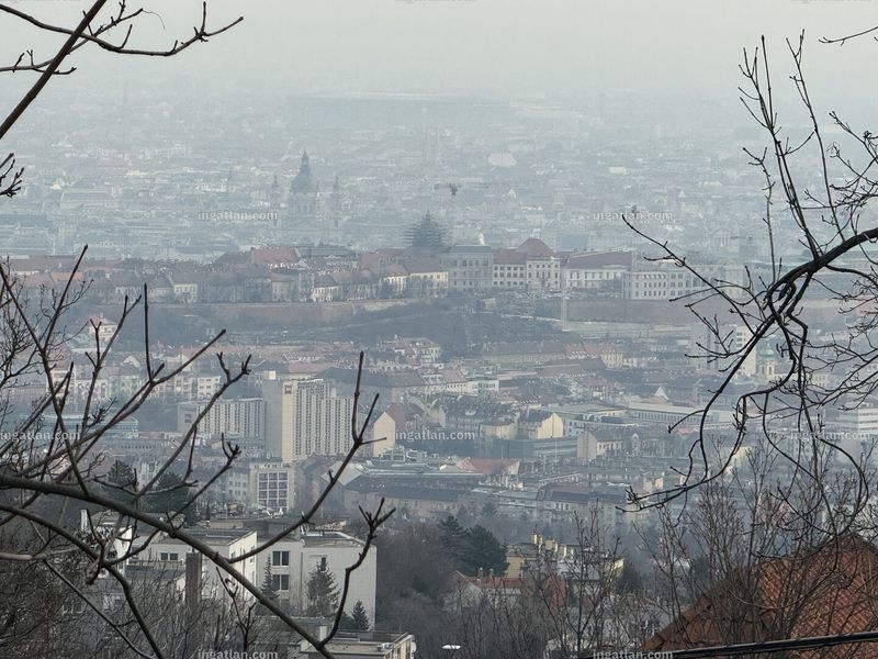 Foto auflisten