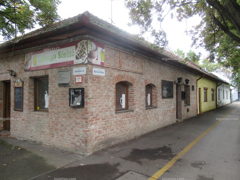 Ingatlan kép