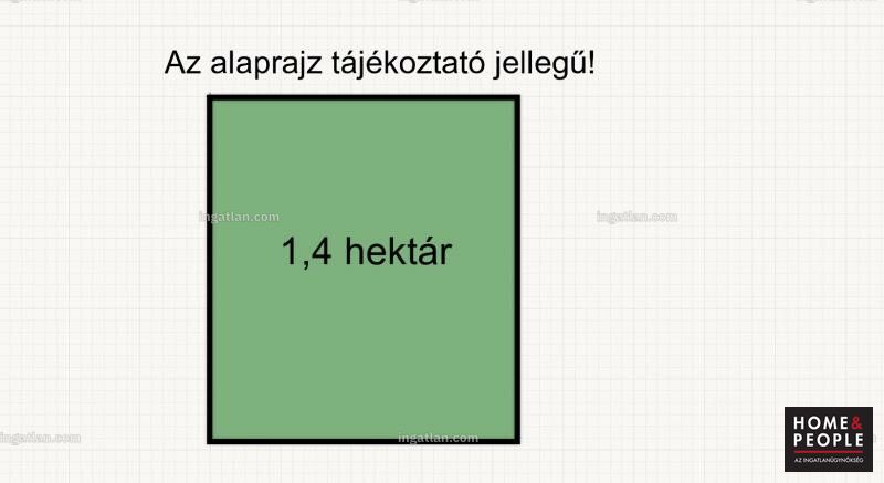 Foto auflisten