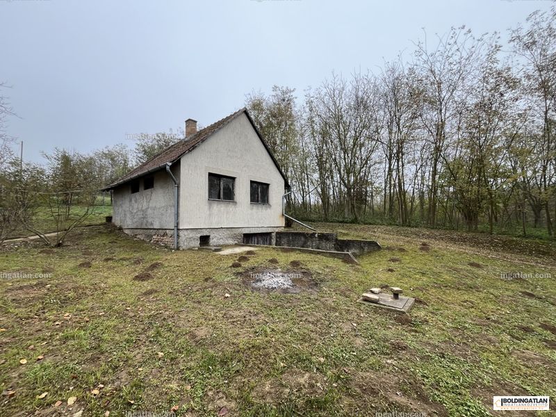 Kép az ingatlanról