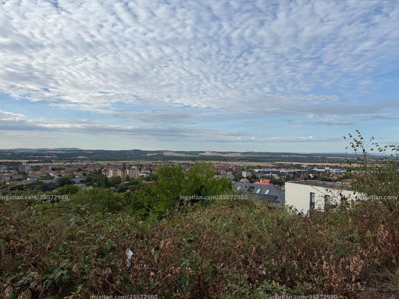 Foto auflisten