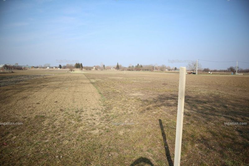 Foto auflisten
