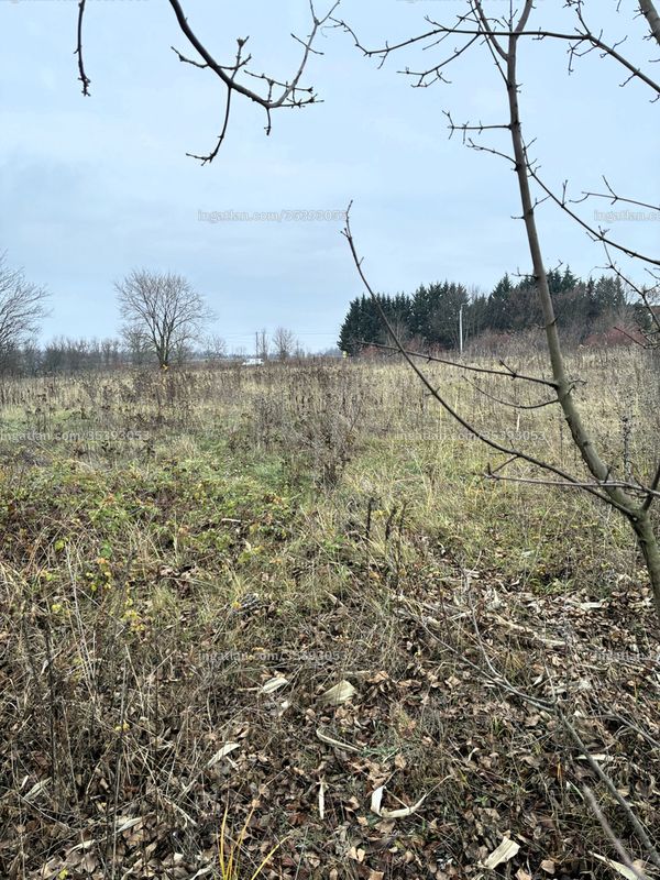Foto auflisten