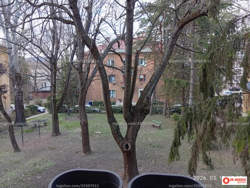Foto auflisten