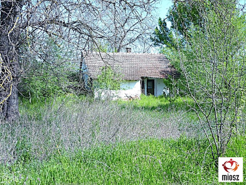 Foto auflisten