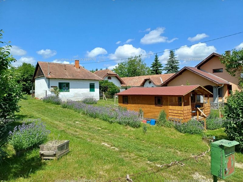Hirdetés fotója
