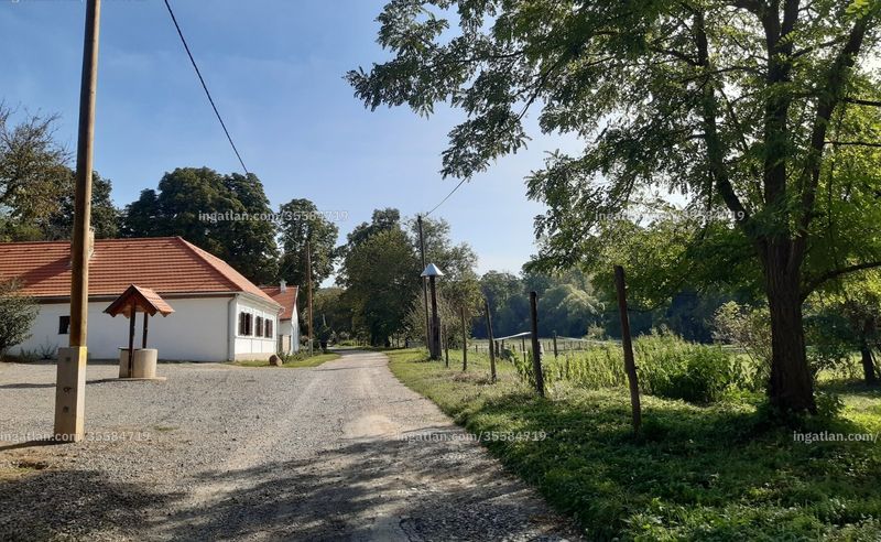 Foto auflisten
