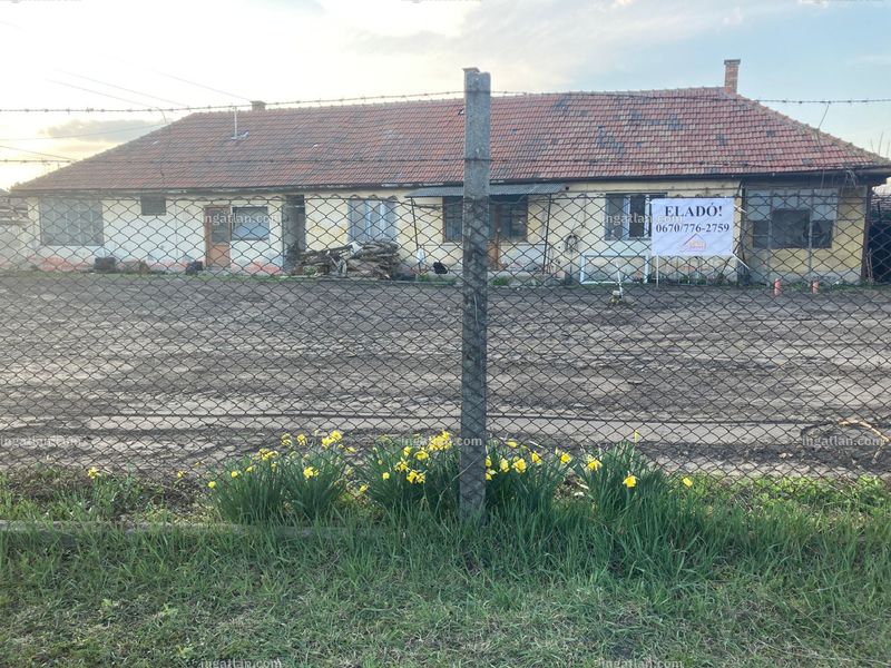Kép az ingatlanról