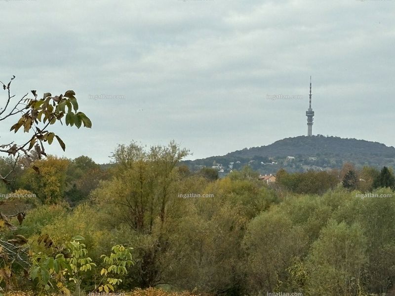 Foto auflisten