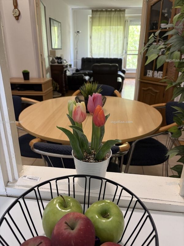 Foto auflisten