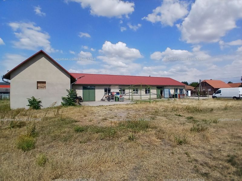 Kép az ingatlanról
