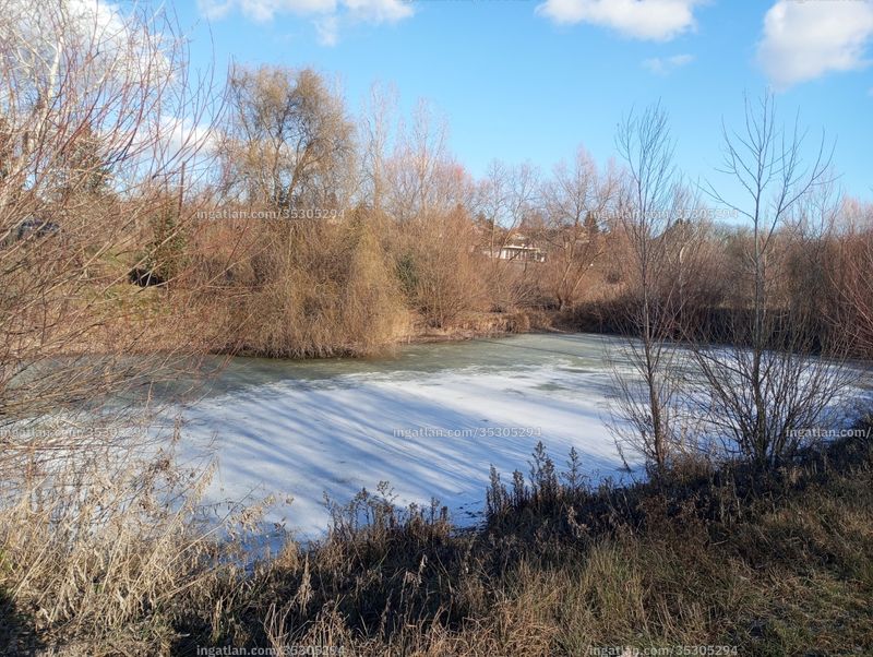 Foto auflisten