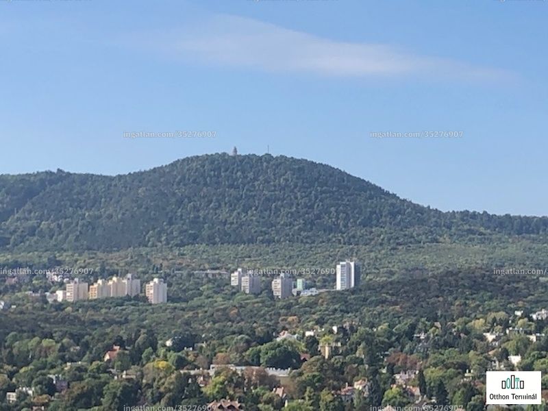 kilátás