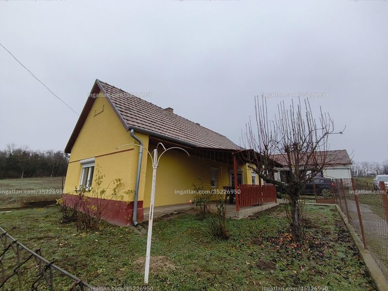 Foto auflisten