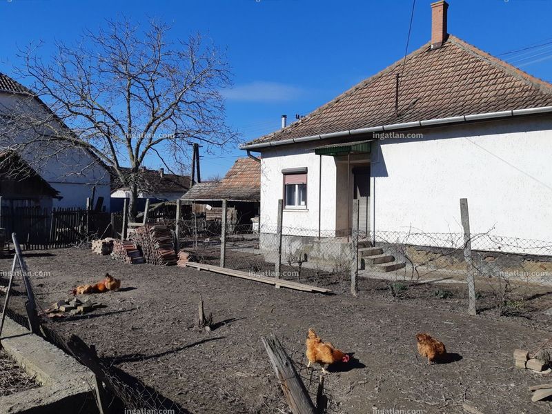 Kép az ingatlanról