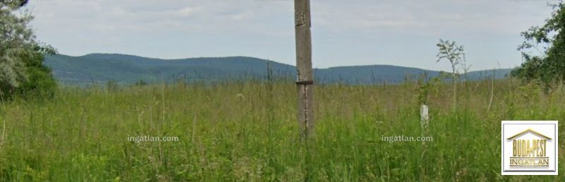 kilátás