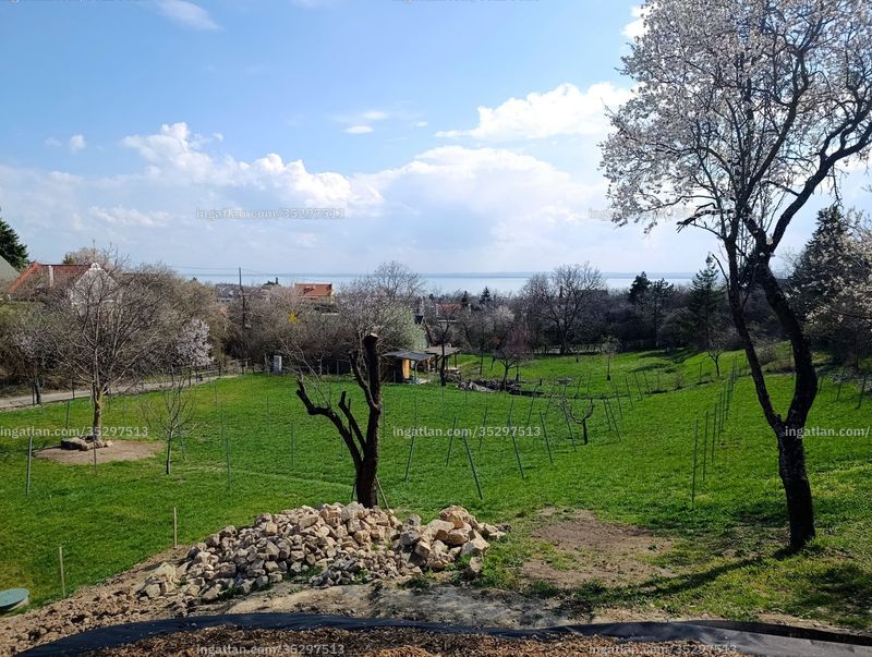 Foto auflisten
