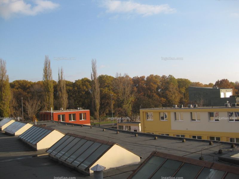 kilátás