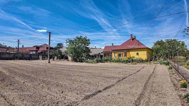 neighborhood